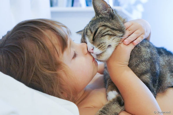 The Most Child-Friendly Cat Breeds