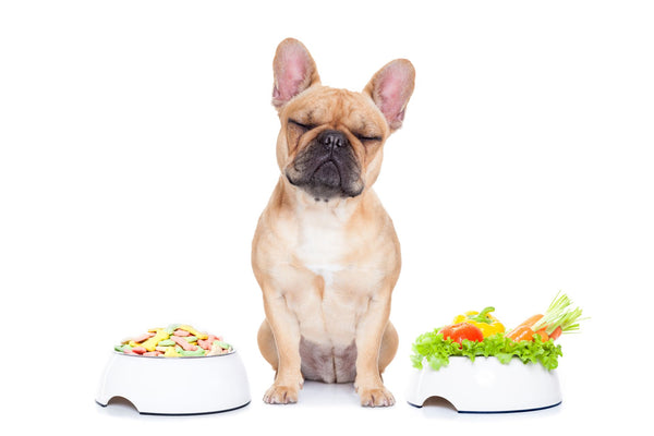 The Best Natural Foods for Dogs