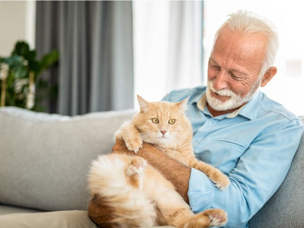 The Benefits of Owning a Cat for Seniors