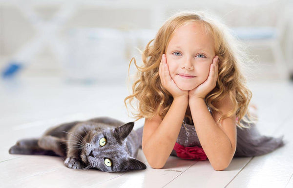 Choosing the Best Cat for Families with Children: Tips and Considerations