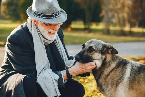 Caring for Your Elderly Dog: Tips and Tricks for a Happy and Healthy Companion