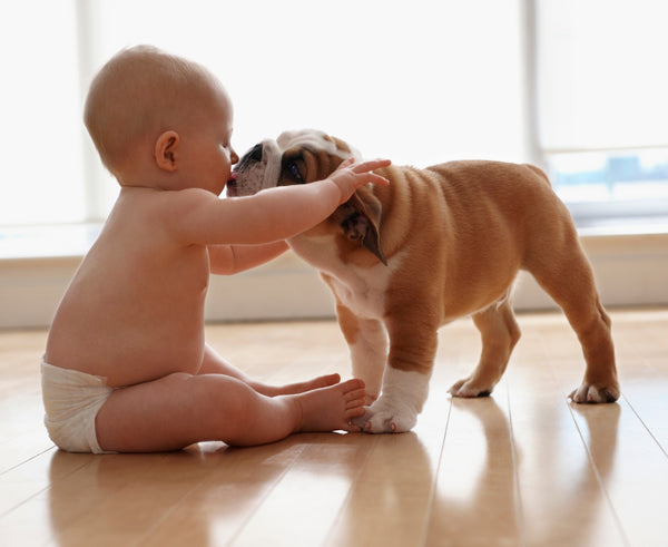 The Benefits of Having a Dog for Children