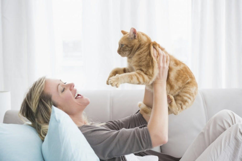 Keeping Your Cat Happy at Home: Expert Tips