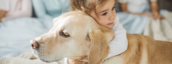 The Therapeutic Benefits of Owning a Pet