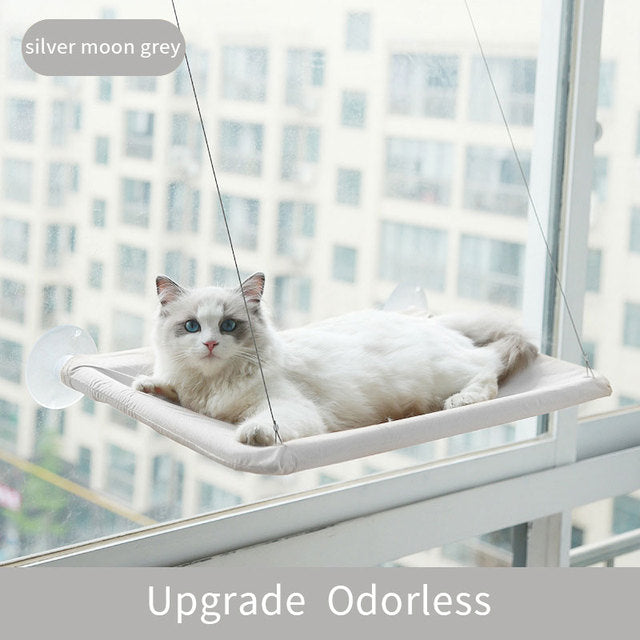 Maximize Vertical Space - Hammock for Enriching Your Cat's Environment