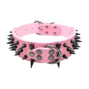 Elevate Style with Edge: Spiked Collar Experience