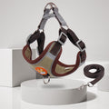 Comfort and Control - Harness and Leash Set for Peaceful Walks