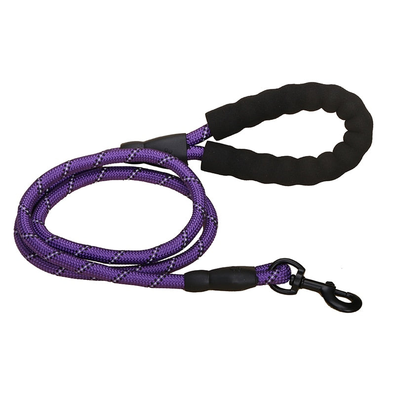 The Embodiment of Reliability: Premium Quality Nylon Leash