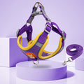 Comfort and Control - Harness and Leash Set for Peaceful Walks