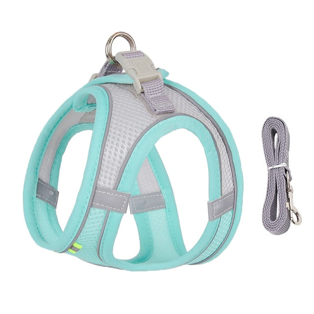 Ergonomic Comfort: Dog Harness Leash Set