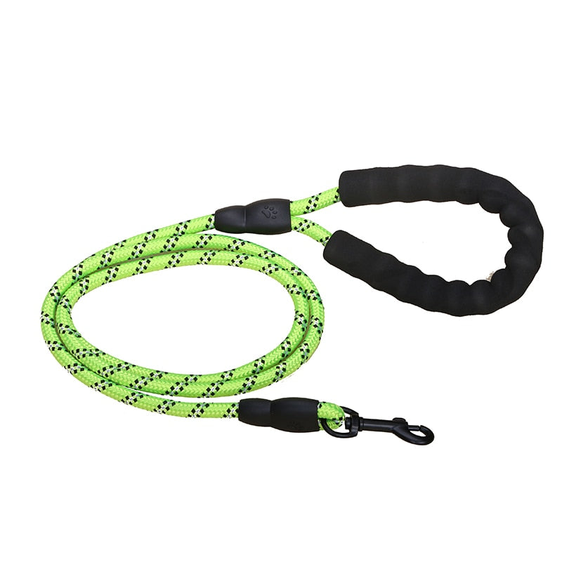 The Embodiment of Reliability: Premium Quality Nylon Leash