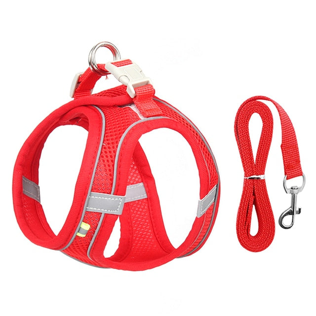 Ergonomic Comfort: Dog Harness Leash Set