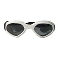 Dog Sunglasses - Protect Your Dog's Eyes in Style