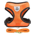 Adjustable Vest Pet Harness: Freedom and Comfort