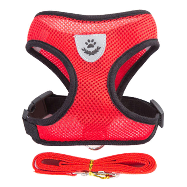 Adjustable Vest Pet Harness: Freedom and Comfort