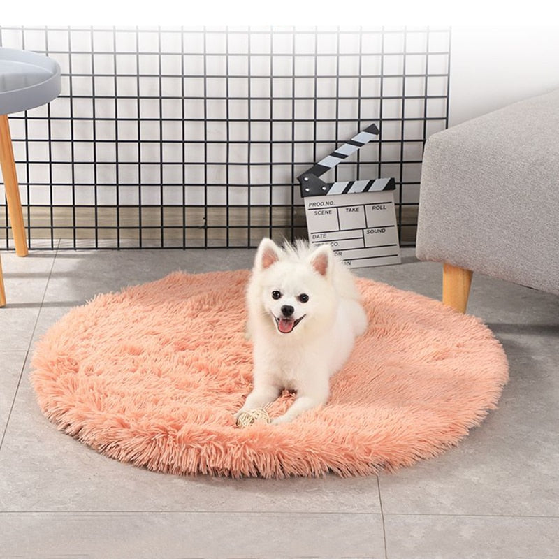 Ultimate Relaxation: Round Dog Bed Haven