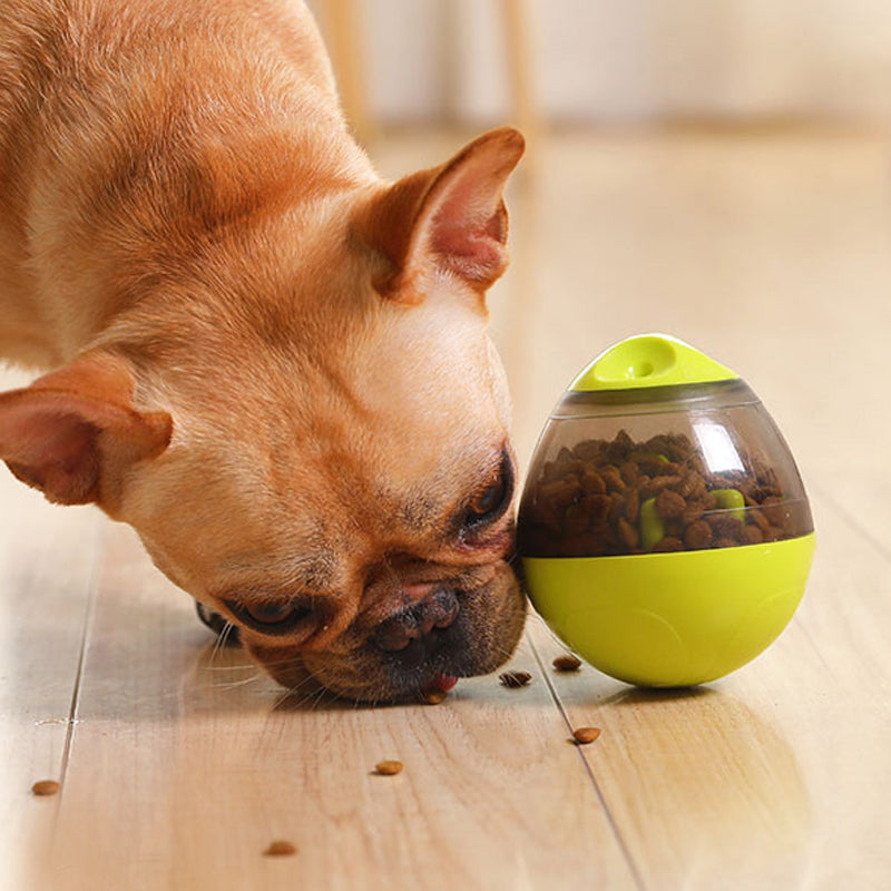 Unlock Your Pet's Genius - Pets IQ Treat Toys for Smart Play