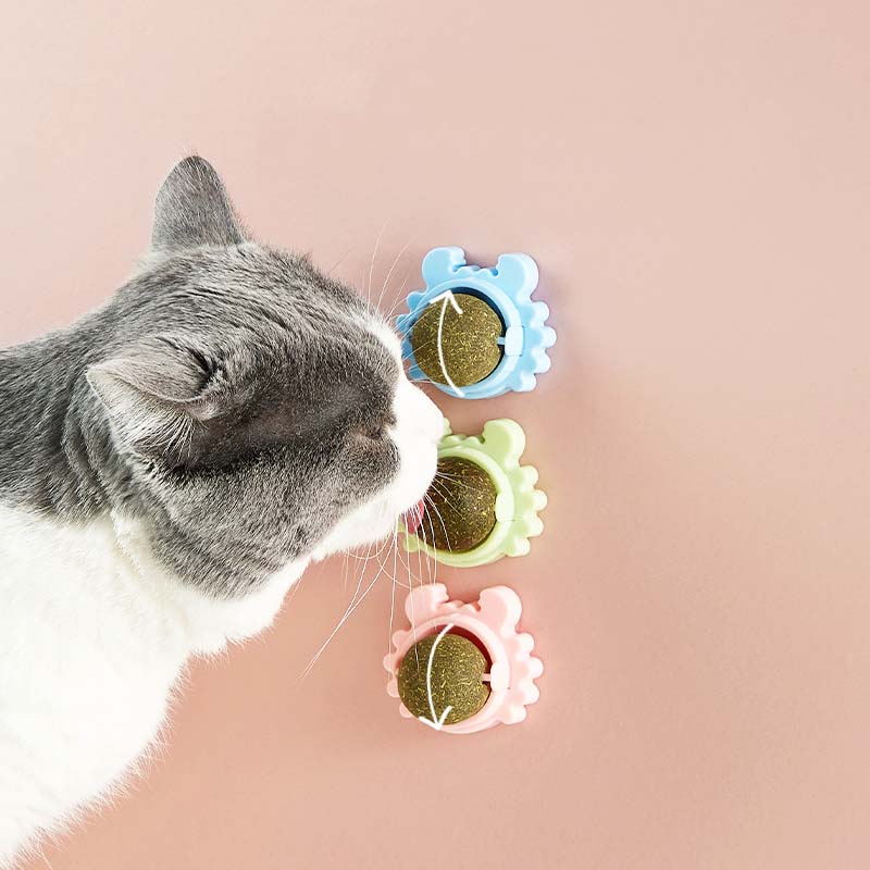 Elevate Playtime: Cat Catnip Ball Toys Crab Base
