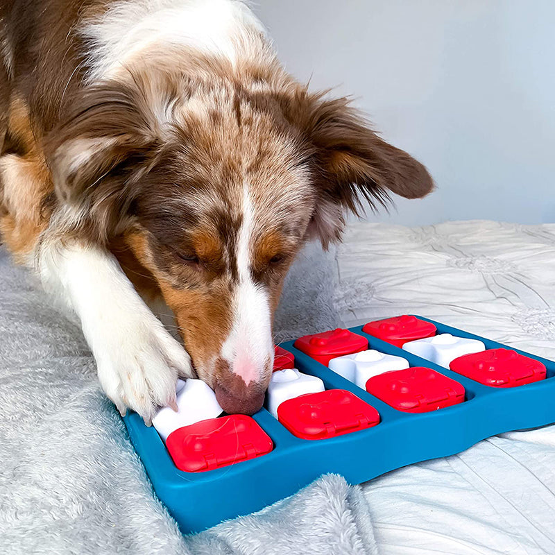 Pet Treasure Box Toy: Discover Joy and Unearth Fun