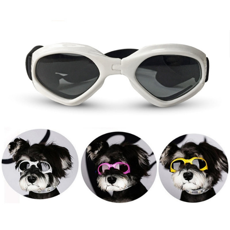 Dog Sunglasses - Protect Your Dog's Eyes in Style