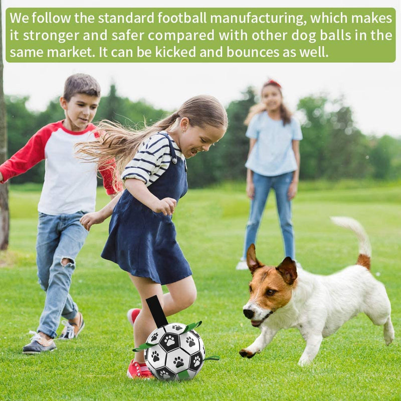 Quality Time and Play - Soccer Ball Toy for Bonding with Your Dog