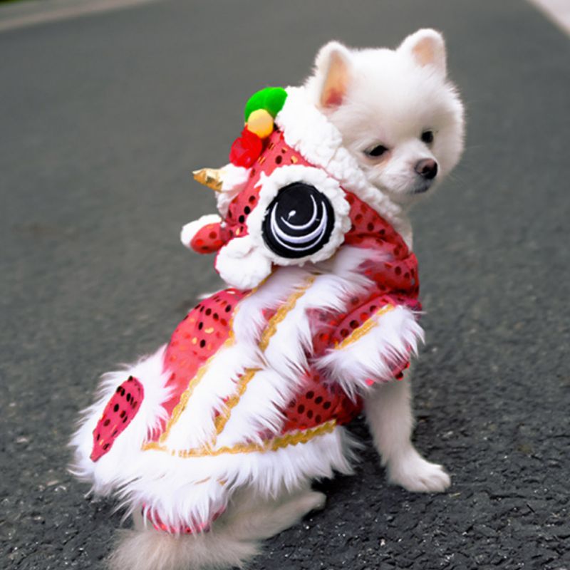 Memories of Joy: Spring Festival Dog Coat