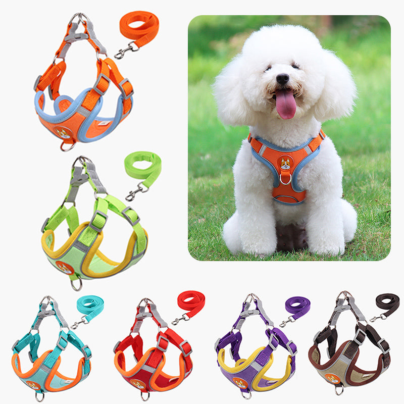 Comfort and Control - Harness and Leash Set for Peaceful Walks