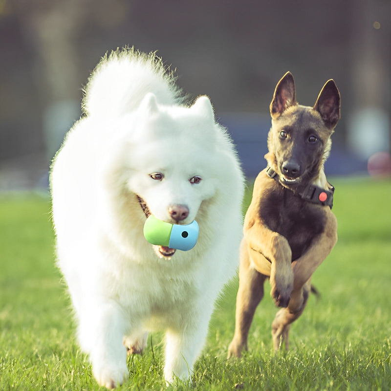 Foster Health: Interactive Food Toy Connection