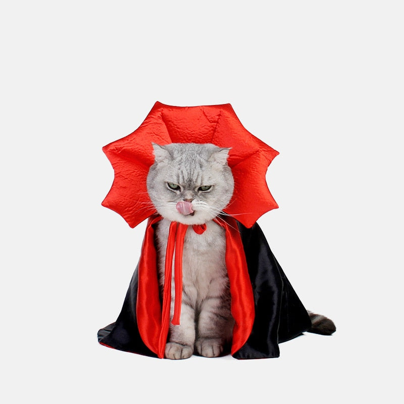 Fang-tastic Fun: Dress Up Your Cat for Spooktacular Moments