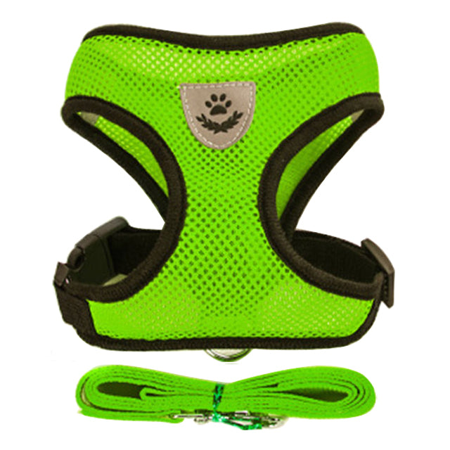 Adjustable Vest Pet Harness: Freedom and Comfort