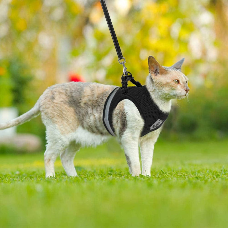 Embrace Adventures: CozyCat Pet Harness and Leash