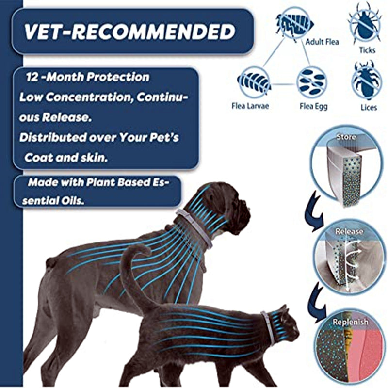 Worry-Free Adventures: Flea and Tick Protection