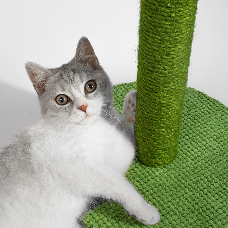 Promote Exercise and Mental Stimulation - Cat Scratching Post