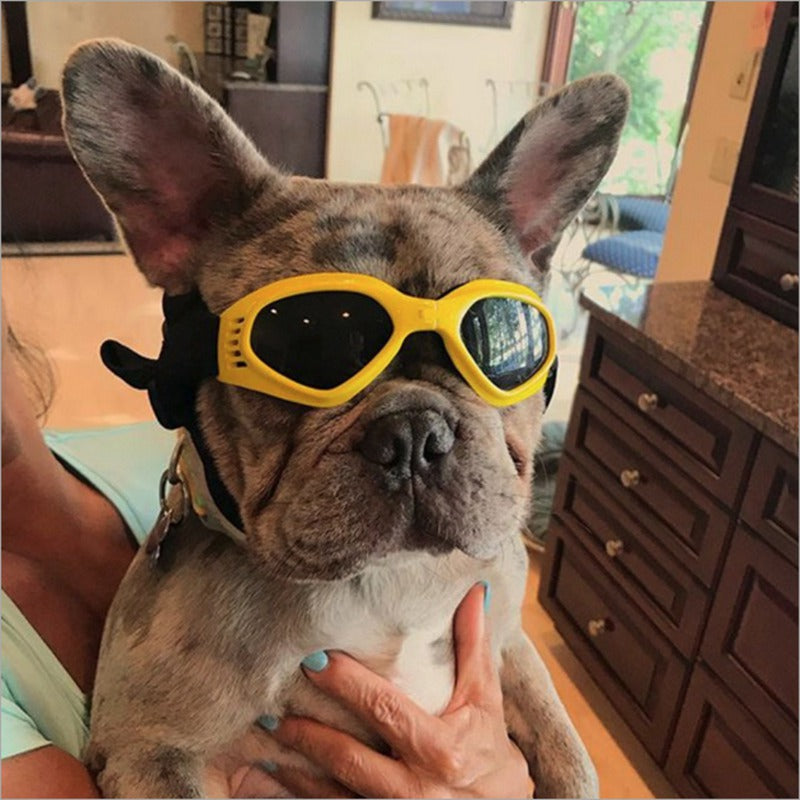 Dog Sunglasses - Protect Your Dog's Eyes in Style
