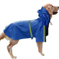 Joyful Adventures: Spring and Summer Dog Raincoat