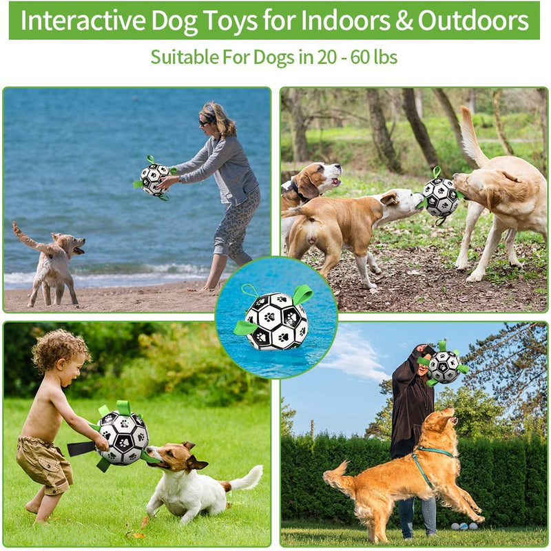 Quality Time and Play - Soccer Ball Toy for Bonding with Your Dog