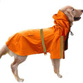 Joyful Adventures: Spring and Summer Dog Raincoat