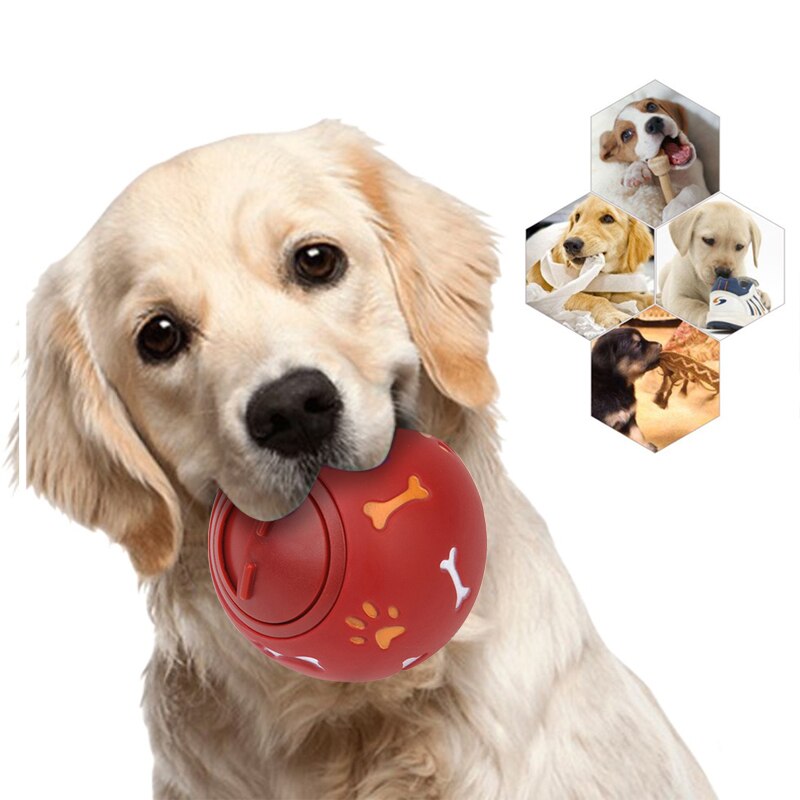 Dog Tooth Cleaning Ball: Healthy Smiles, Happy Tails