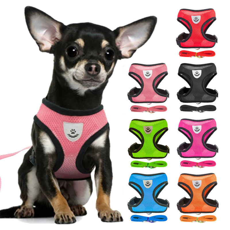 Adjustable Vest Pet Harness: Freedom and Comfort