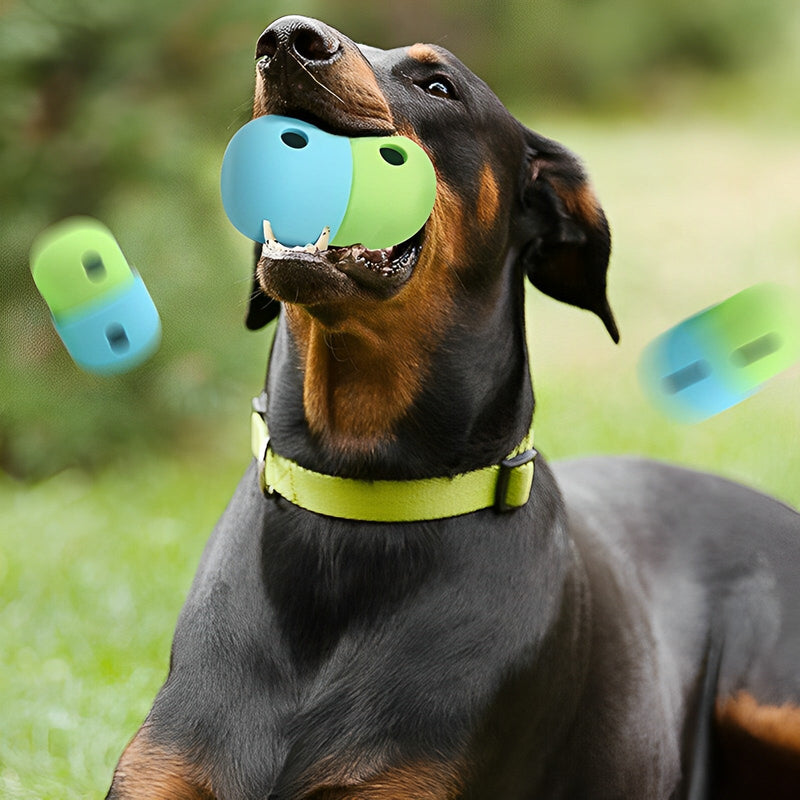 Foster Health: Interactive Food Toy Connection