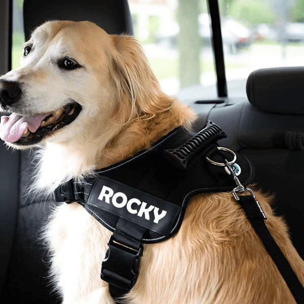 Adjustable Dog Safety Seat Belt: Freedom and Protection
