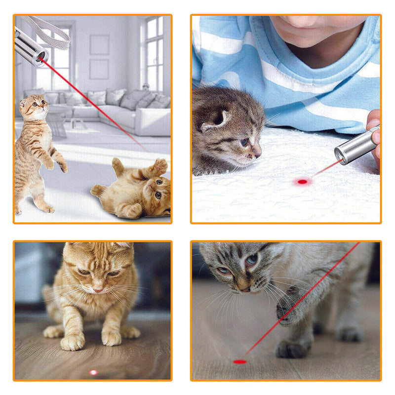 Create Memories with Your Cat - USB Rechargeable Cat Laser