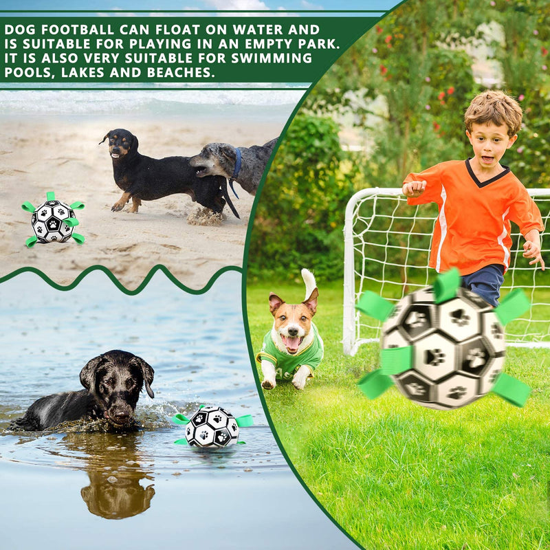 Quality Time and Play - Soccer Ball Toy for Bonding with Your Dog