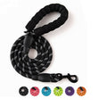 The Embodiment of Reliability: Premium Quality Nylon Leash