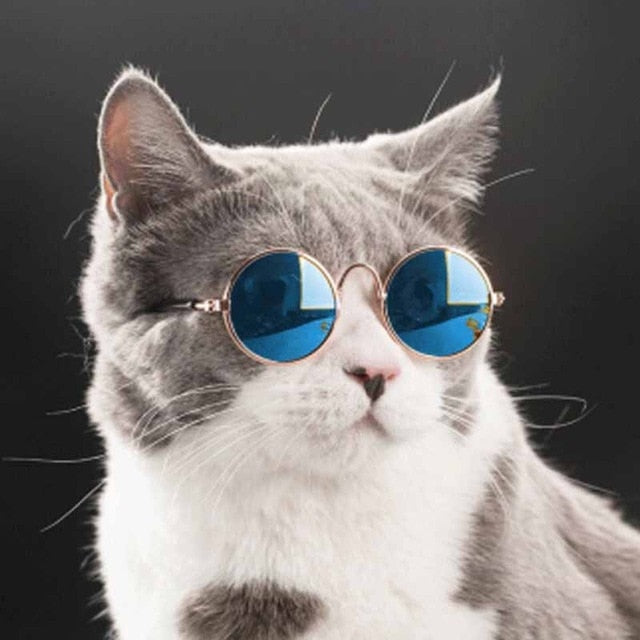 Vintage Round Sunglasses for Dogs and Cats .