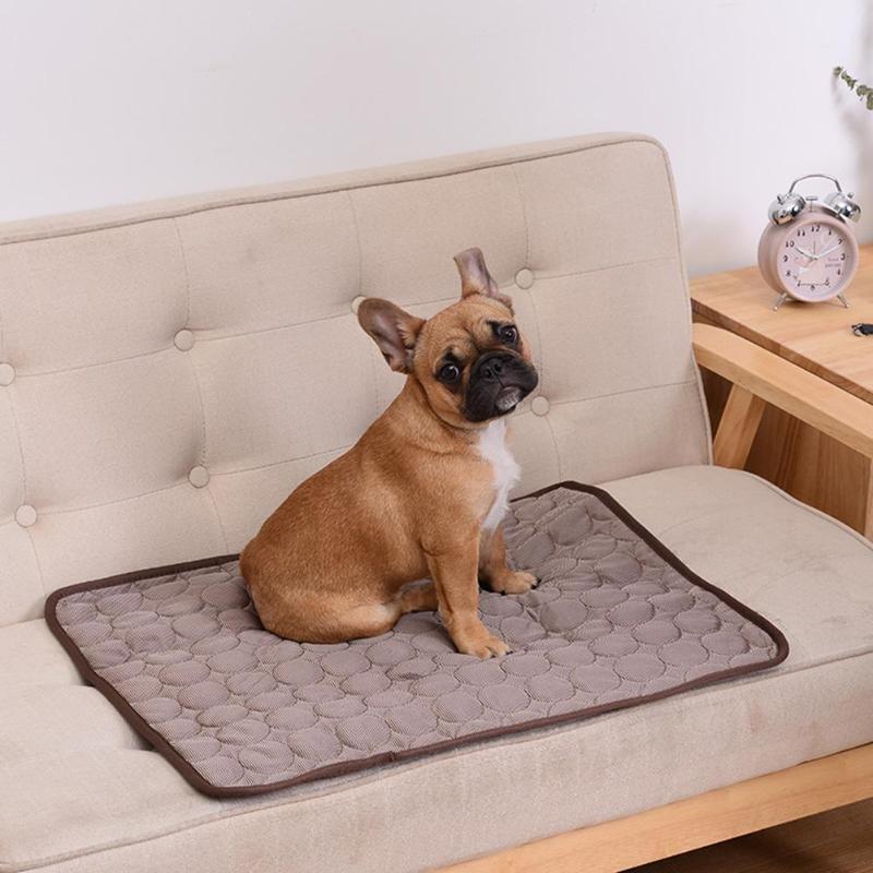 Protect Your Sofa in Style - Breathable Sofa Blanket for Pets