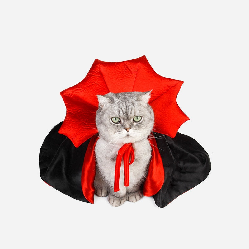 Fang-tastic Fun: Dress Up Your Cat for Spooktacular Moments
