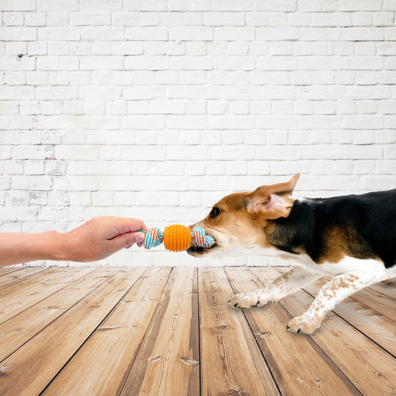 Bite Resistant Teething Rope Toy for Small and Medium Dogs