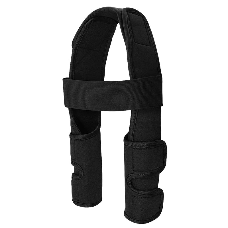 Stay Active and Enjoy Life - Pet Leg Support for Uninterrupted Adventures