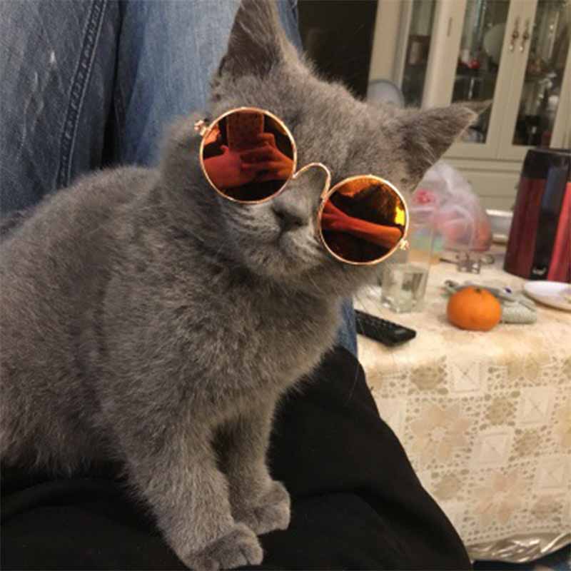Vintage Round Sunglasses for Dogs and Cats .
